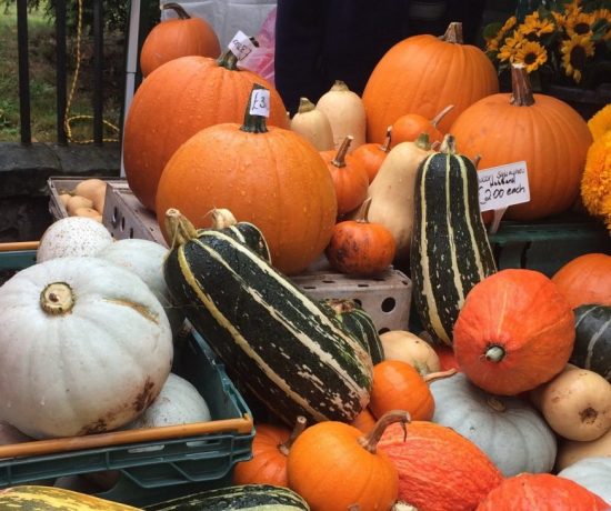 Squashes and pumpkins make great soup
