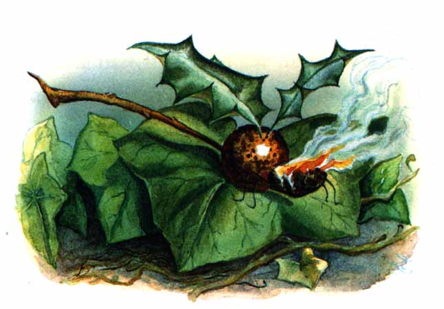 A Snap-Dragon-Fly http://classics-illustrated.com/alice/images/BERRY.JPG