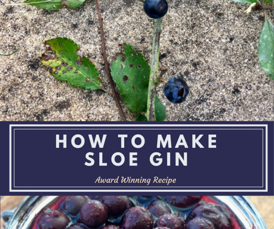 A really delicious alcoholic drink that can be drunk neat or added to a cocktail, sloe gin is easy to make with fruits from the hedgerow