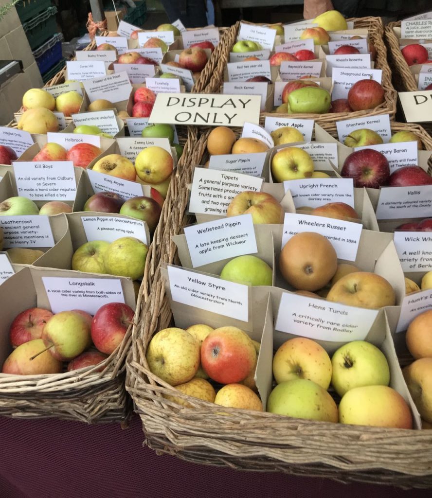 A small selection of Gloucestershire apples