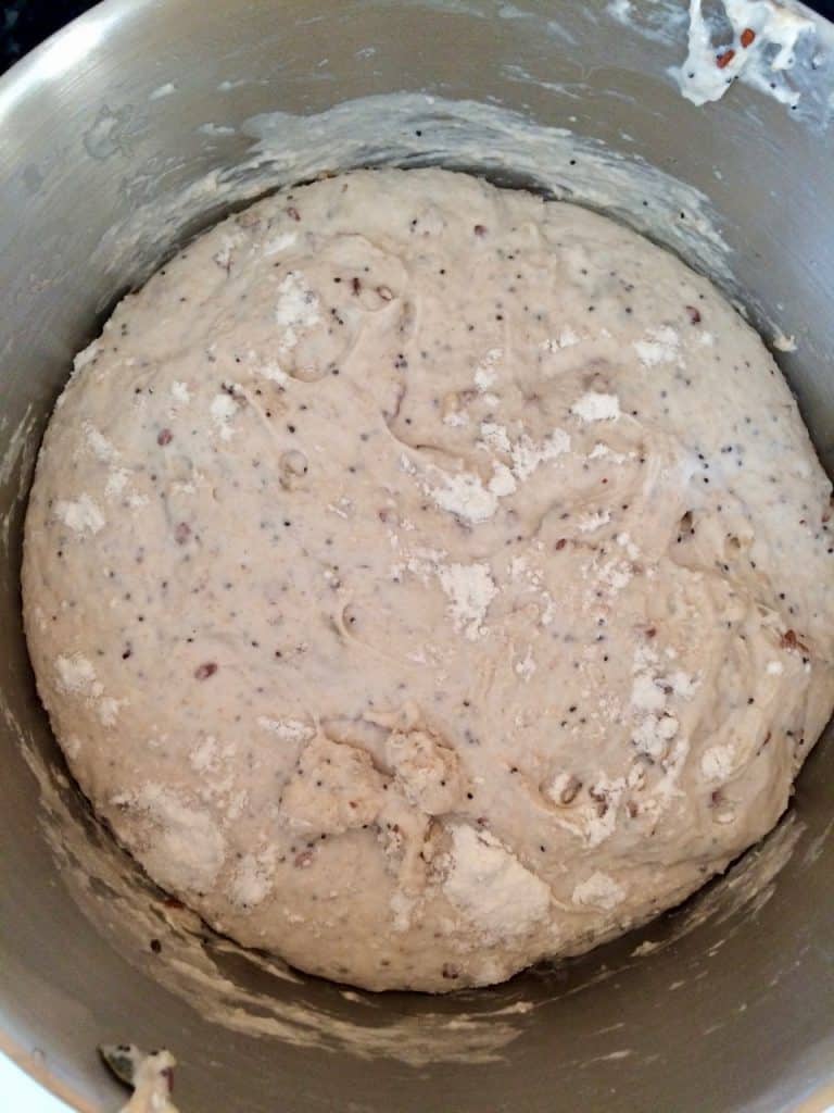 A well mixed dough