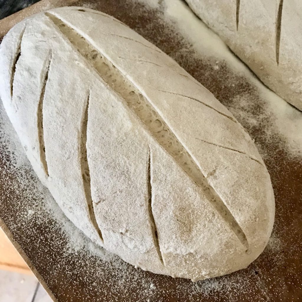 Scored bread made using baker's percentages ready for the oven