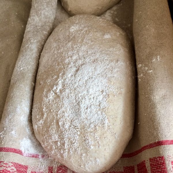 Bread Proving on Couche