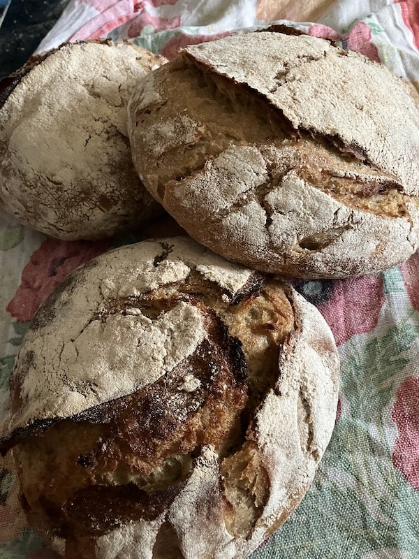 Italy Rice Bread Italian Rye Bread Recipe - Severn Bites Bread classes in Gloucestershire
