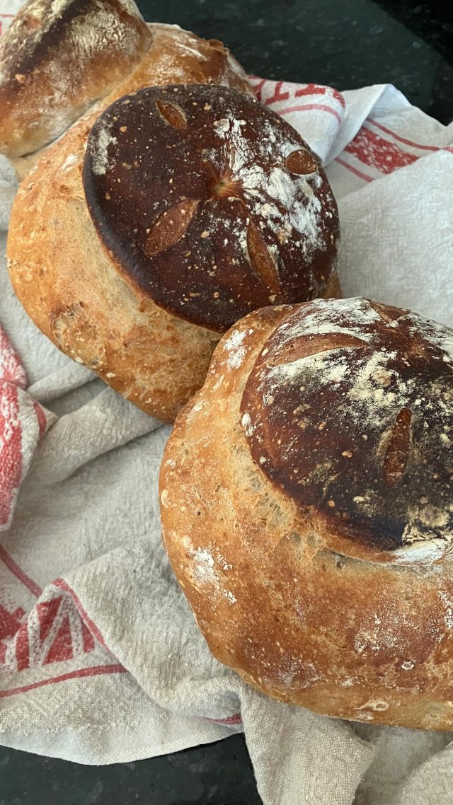 Bake Better Bread: Temperature - Severn Bites Breadmaking Classes